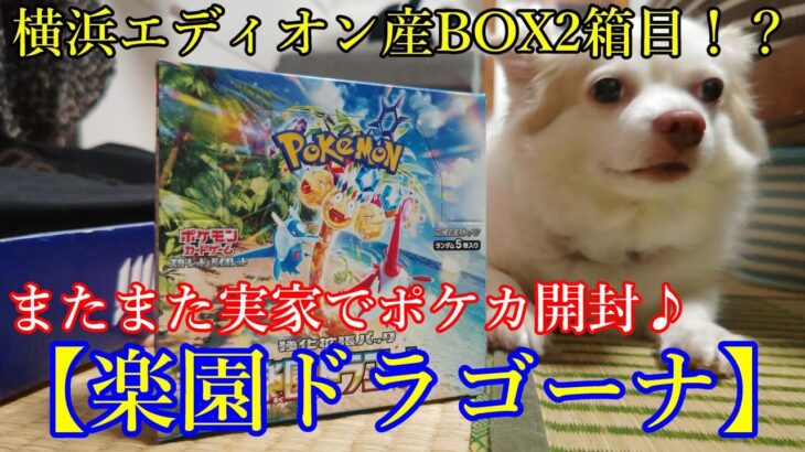 【ポケモンカード】横浜エディオン産＜楽園ドラゴーナBOX開封（2箱目）＞