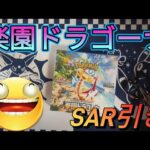 楽園ドラゴーナ開封！SAR引き！#ポケモンカード