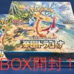 [ポケカ]新弾！！ルチアSAR狙って3BOX開封！！