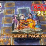 【遊戯王開封】海外新規テーマが面白そう！WORLD PREMIERE PACK 2024を4箱開封するぞ！