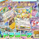 【楽園ドラゴーナ】新たなるポケモンとの出会い！新弾開封！【ゆっくりポケカ開封】