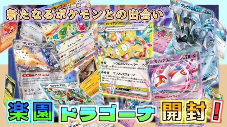 【楽園ドラゴーナ】新たなるポケモンとの出会い！新弾開封！【ゆっくりポケカ開封】