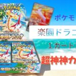 ポケモンカード　楽園ドラゴーナ　１カートン開封したら　神カートンだった件