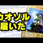 【遊戯王】幻のカオス・ソルジャー届いた！