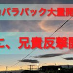 【ポケカ】バラパック大量開封　ついに、兄貴反撃開始