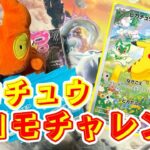 【ポケカ】今更ピカチュウプロモゲットするマグ🔥