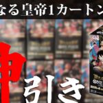 【ワンピ開封】新たなる皇帝1カートン開封でまさかの”神”降臨！！【しゃけ海賊団】