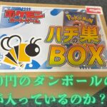 【ポケカ】24800円と少し値段が高めのダンボールには何が入っているのか？？