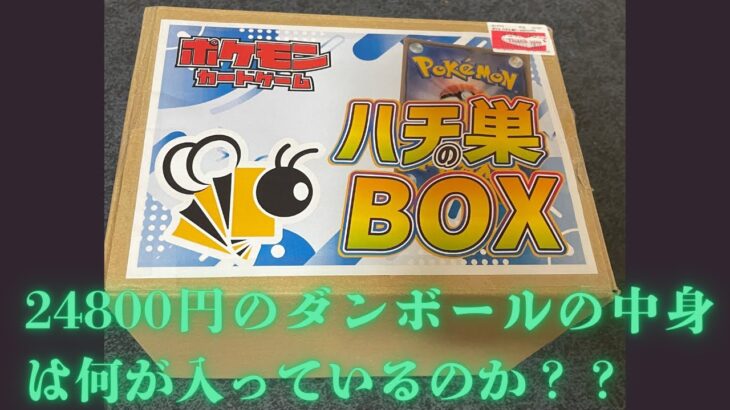 【ポケカ】24800円と少し値段が高めのダンボールには何が入っているのか？？