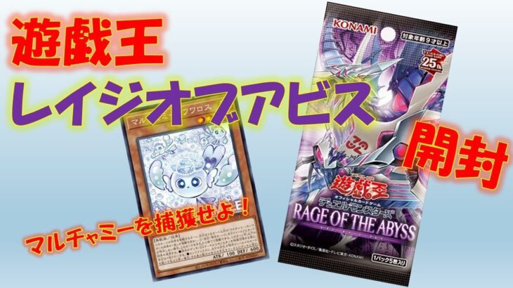 【遊戯王】マルチャミーフワロスを確保せよ！レイジオブアビス2box開封