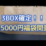 3BOX確定の15000円福袋開封したらすごかった・・・