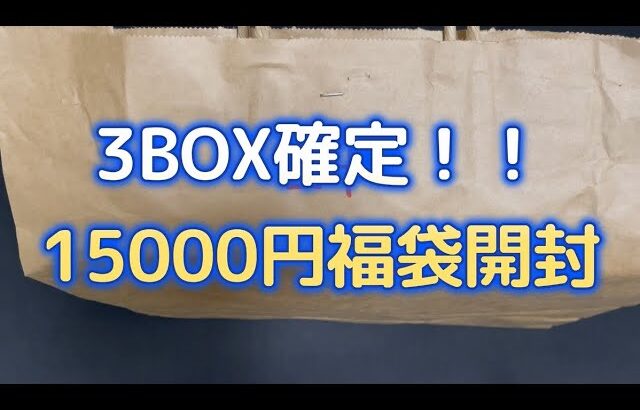 3BOX確定の15000円福袋開封したらすごかった・・・