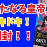 6歳児が挑戦！ワンピースカード『新たなる皇帝』開封！