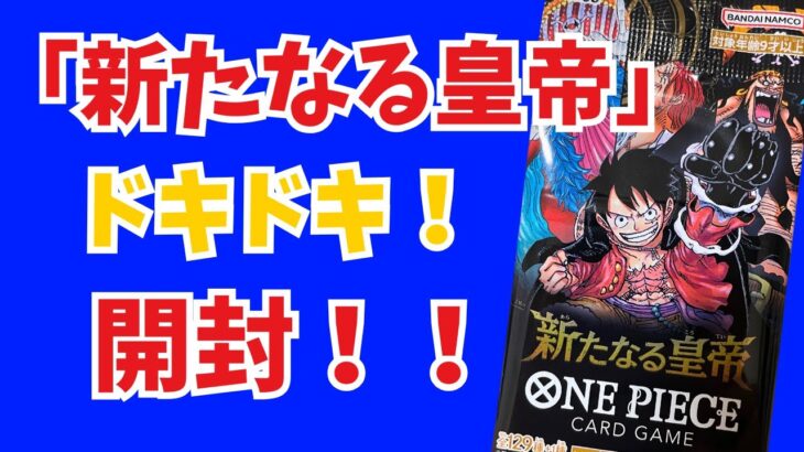 6歳児が挑戦！ワンピースカード『新たなる皇帝』開封！