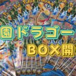 【ポケカ】楽園ドラゴーナBOX開封！！SR枠であのカードと遭遇！！！！