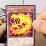 遊戯王 OCG WORLD PREMIERE PACK 5パック開封！！！！！！！