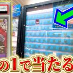 【ワンピカード】コミパラや人気SPが高確率で当たるオリパ⁉️トレカ道楽で散財した姉が奇跡を起こす！！【開封動画】