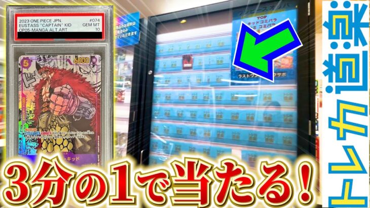 【ワンピカード】コミパラや人気SPが高確率で当たるオリパ⁉️トレカ道楽で散財した姉が奇跡を起こす！！【開封動画】