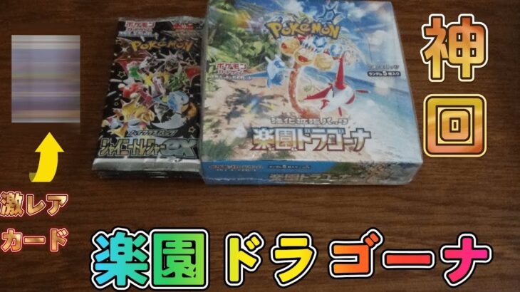 【ポケカ】楽園ドラゴーナとシャイニートレジャーを開封したら、神すぎる結果に！？