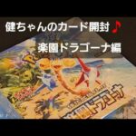 ポケカ　楽園ドラゴーナ開封♪　サポートカードコンプ継続中