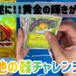 ポケモンカードバラパック開封で奇跡を起こせ！！