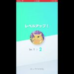 #ポケモン #ポケモンカード開封 #まっちゃん #ゲーム実況