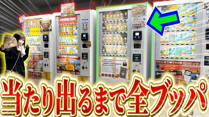 【ポケカ】ハイリスクハイリターン!? こわすぎるポケカ自販機を見つけたので当たり出るまで購入した結果がやばい・・・！！！【開封動画】