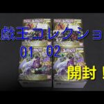 #遊戯王コレクション  【購入紹介】遊戯王コレクション01と02を開封！