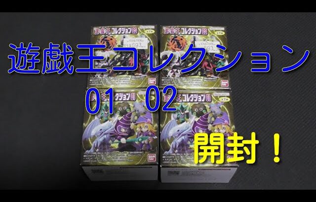 #遊戯王コレクション  【購入紹介】遊戯王コレクション01と02を開封！