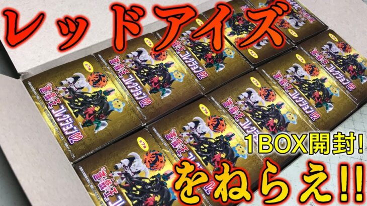 レッドアイズを狙え！遊戯王コレクション02 開封レビュー！！