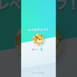 ポケポケ カード開封1日目#ポケモンカード