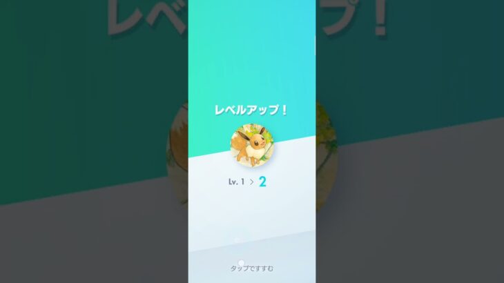 ポケポケ カード開封1日目#ポケモンカード