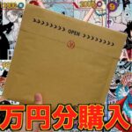 1枚20万円超えの超大当たり狙いでPSA確定オリパ開封したら衝撃の結果に！！！【ワンピース】