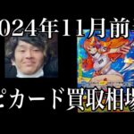 「ワンピカード相場」2024年11月前半のワンピースカードゲーム買取相場情報