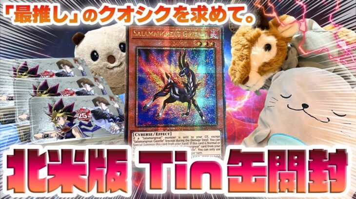 【遊戯王開封特別編】「転生炎獣ガゼル」クオシク登場。北米版「25th anniversary tin: dueling mirrors」を3box開封！