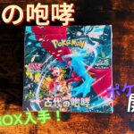 【ポケカ】BOX入手！古代の咆哮開封ぅ！！！【古代の咆哮】