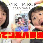 ONE PIECE CARD GAME【新たなる皇帝】BOX開封　初めてコミパラ出た！