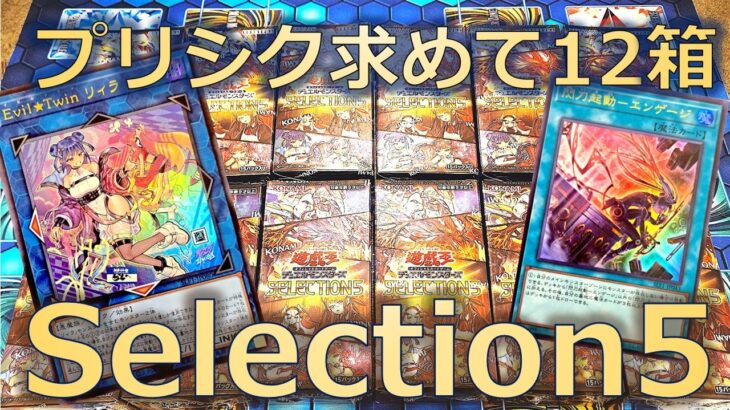 【遊戯王】Selection5が12BOXあれば狙いのプリシク引けるはずだぜ【開封】