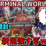 【#遊戯王】昔のテーマ強化やけくそすぎるｗ　TERMINAL WORLD 2　開封するゼミナール