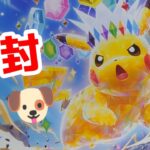 【ポケモンカード】超電ブレイカー開封🍊🐶【はるみまろ】【女性実況】