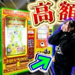 【ワンピカード】総額○万円⁉️街で見つけた高額トレカ自販機で無限にお金吸収されて発狂する姉妹！！【開封動画】