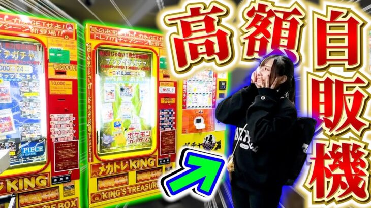 【ワンピカード】総額○万円⁉️街で見つけた高額トレカ自販機で無限にお金吸収されて発狂する姉妹！！【開封動画】