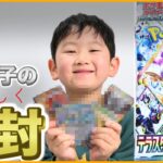 テラステルフェス｜小1男子の楽しくポケカ開封｜ポケモンカード