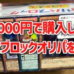 【遊戯王】1000円で購入した極太ブロックオリパを開封！！