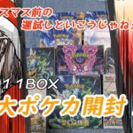 【#ポケカ開封 】テラスタルフェス含む総11BOX開封！クリスマス前の運試し！！【りゅうせい/Vtuber】