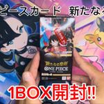 【ワンピースカード開封】今年の集大成!!  ワンピースカード  新たなる皇帝  1BOX開封!!  今年最後にコミパラは引けたのか!?