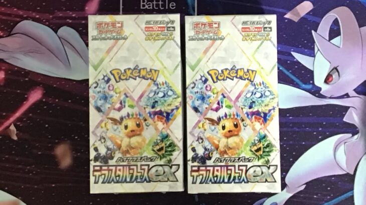 テラスタルフェス2BOX開封動画②#ポケカ#ポケモンカード #ポケカ開封動画#テラスタルフェスex