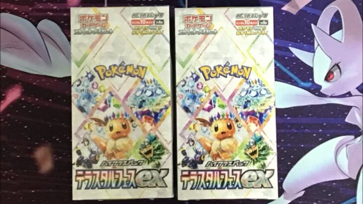 テラスタルフェス2BOX開封動画①#ポケカ#ポケモンカード #ポケカ開封 #テラスタルフェスex