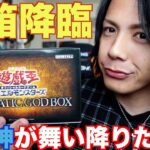 【遊戯王】第2弾‼︎PRISMATIC GODBOX開封