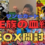 【ワンピカード】”王族の血統”4BOX開封でローコミパラ狙いもしくはスペシャルレア当てにいく！！